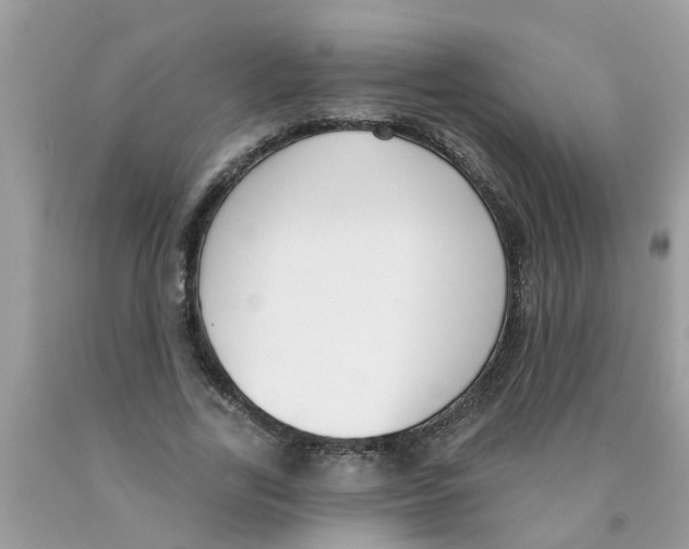 X0000089900731200707262250