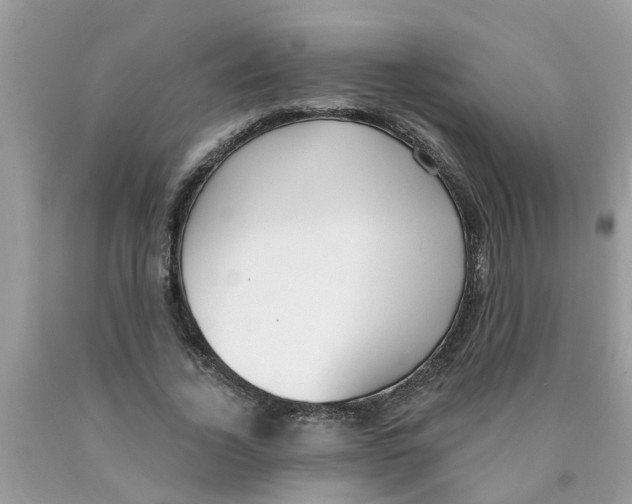 X0000089900732200707262250