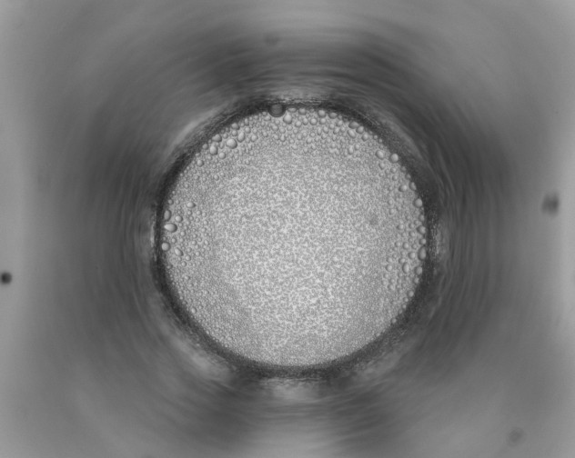 X0000089900733200707262250