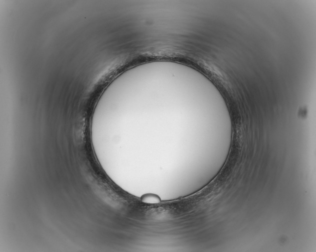 X0000089900735200707262250