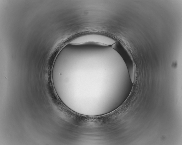 X0000089900736200707262250