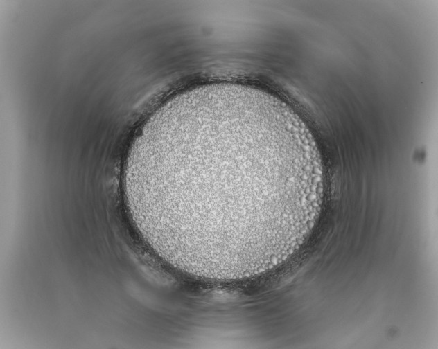 X0000089900737200707262250
