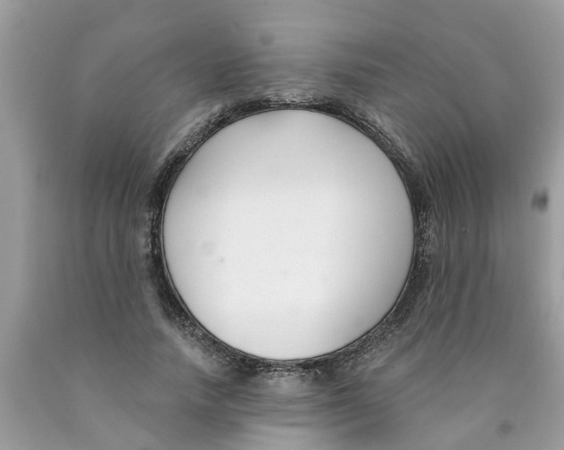 X0000089900738200707262250
