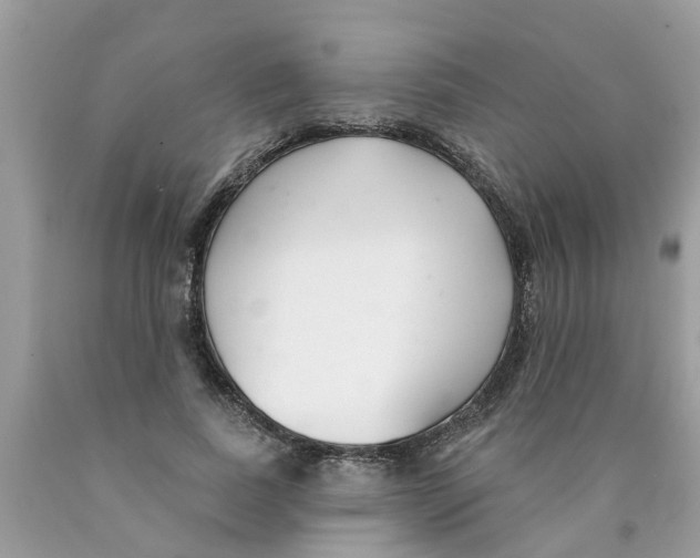 X0000089900739200707262250