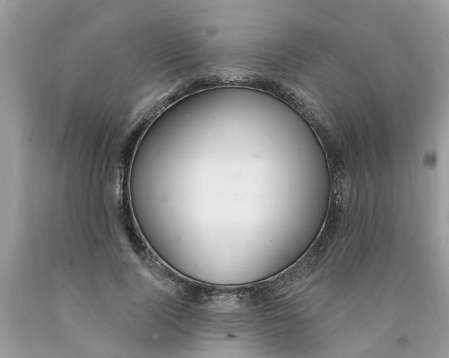 X0000089900740200707262250