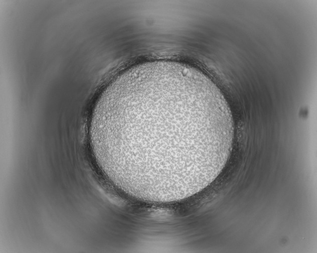 X0000089900741200707262250
