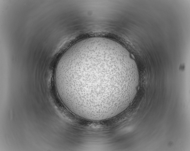 X0000089900742200707262250