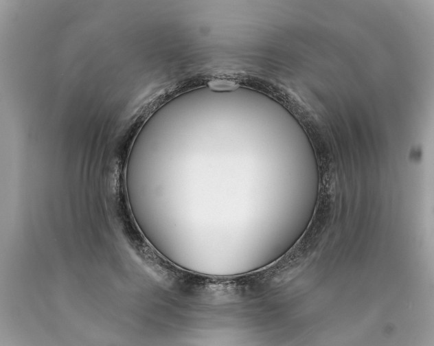 X0000089900744200707262250