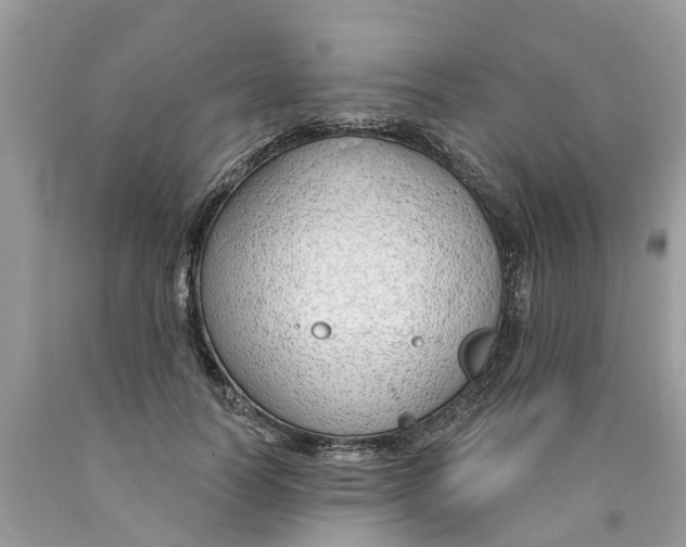 X0000089900746200707262250