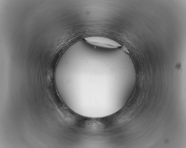 X0000089900747200707262250