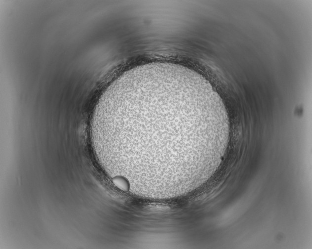 X0000089900749200707262250