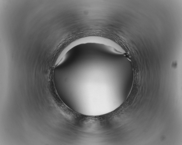 X0000089900750200707262250