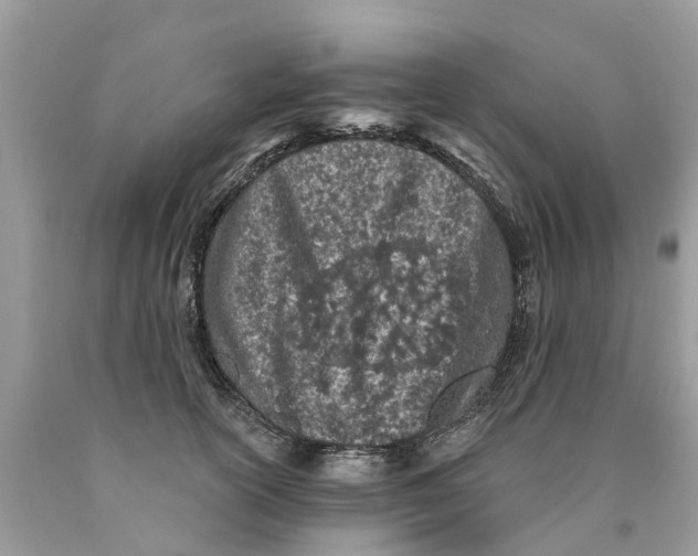 X0000089900754200707262250