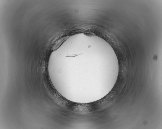 X0000089900758200707262250