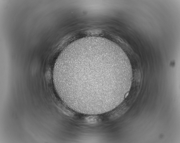 X0000089900761200707262250