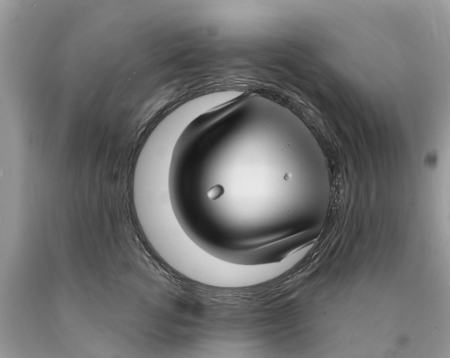 X0000089900762200707262250