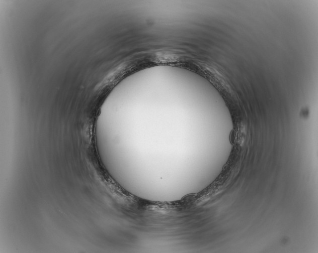 X0000089900763200707262250