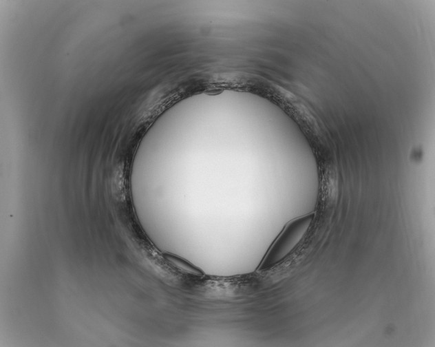 X0000089900764200707262250