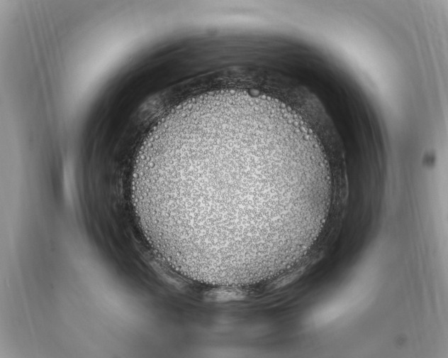 X0000089900765200707262250