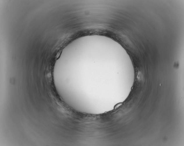 X0000089900771200707262250