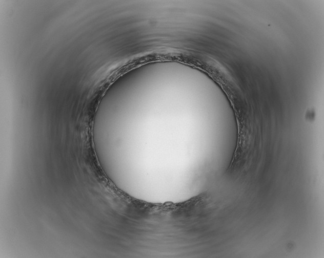 X0000089900773200707262250