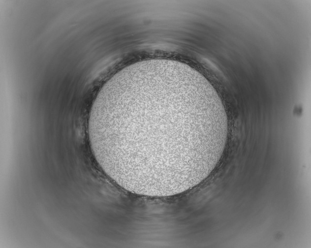 X0000089900774200707262250