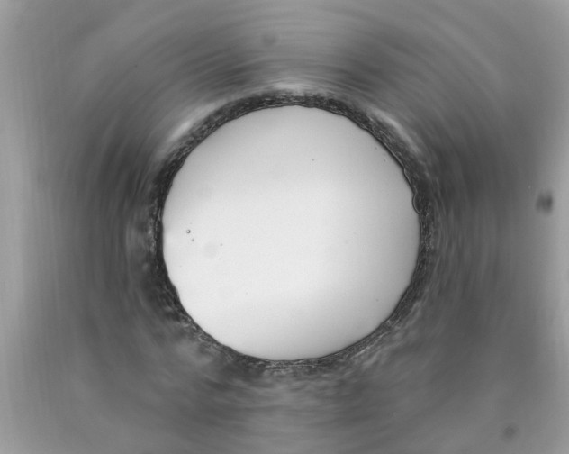 X0000089900776200707262250