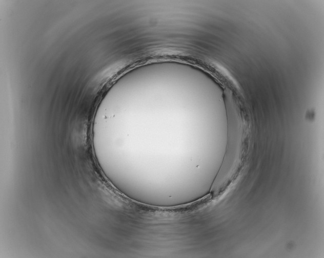 X0000089900777200707262250