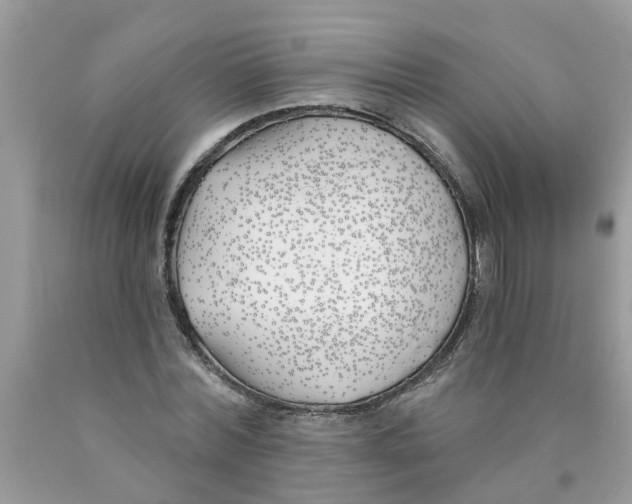 X0000089900780200707262250
