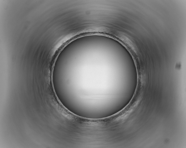 X0000089900781200707262250
