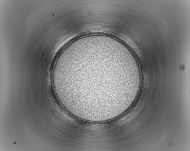 X0000089900782200707262250