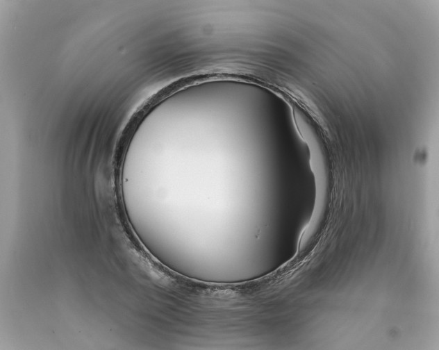 X0000089900784200707262250