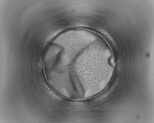 X0000089900785200707262250