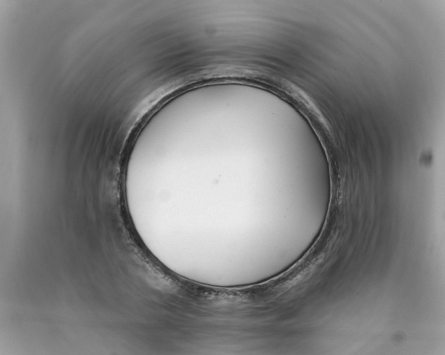 X0000089900786200707262250