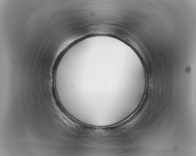 X0000089900787200707262250