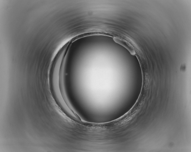 X0000089900788200707262250