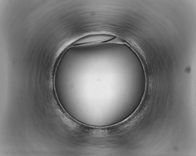 X0000089900789200707262250