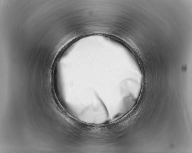 X0000089900790200707262249