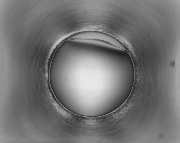 X0000089900792200707262249