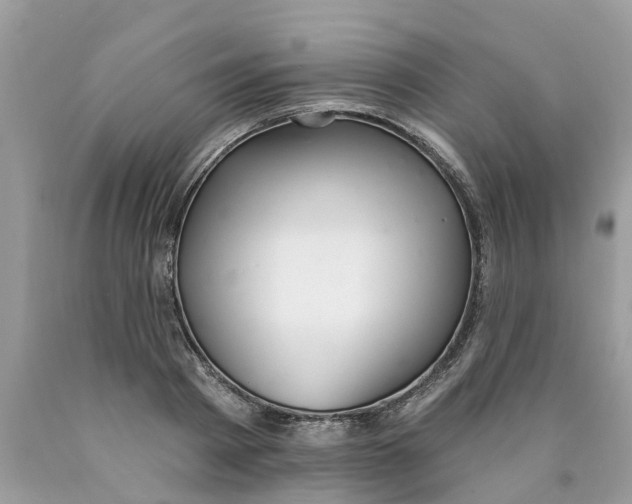 X0000089900793200707262249