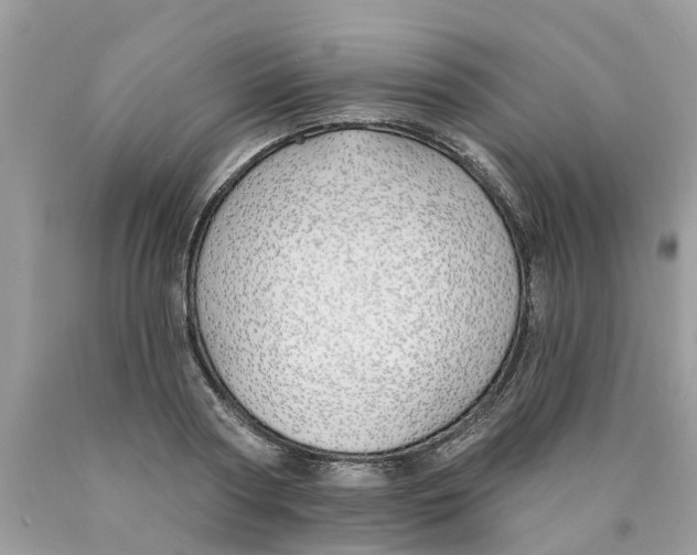 X0000089900794200707262249