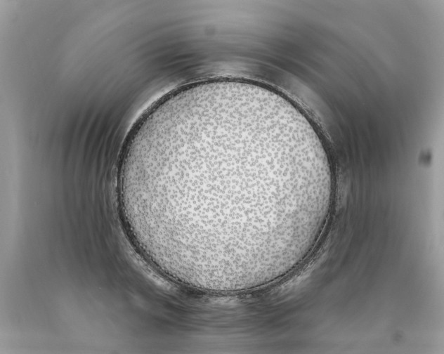 X0000089900798200707262249