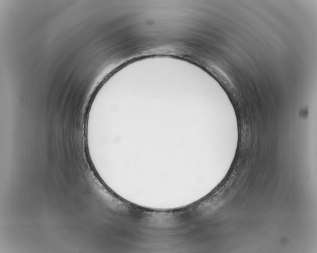 X0000089900800200707262249