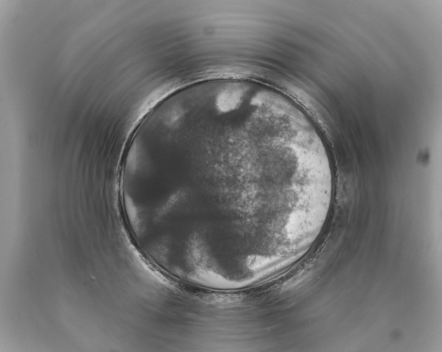 X0000089900802200707262249