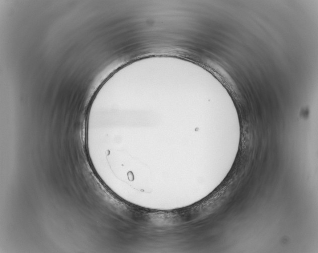 X0000089900804200707262249