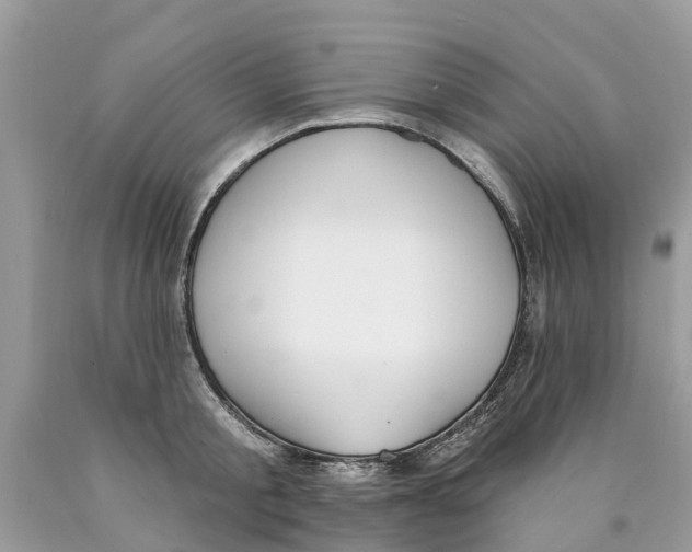 X0000089900805200707262249
