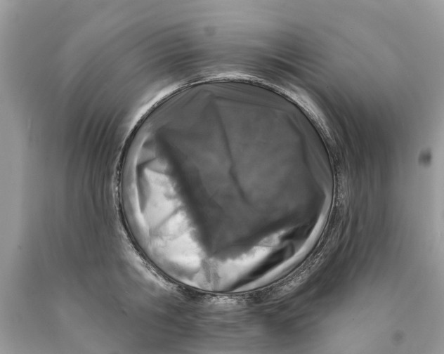 X0000089900806200707262249