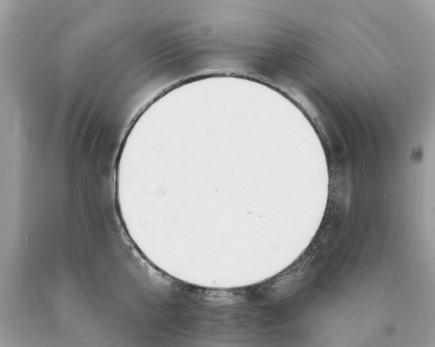 X0000089900807200707262249