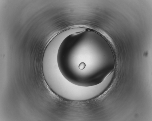 X0000089900809200707262249