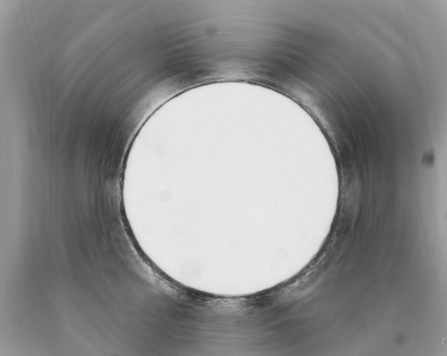 X0000089900810200707262249